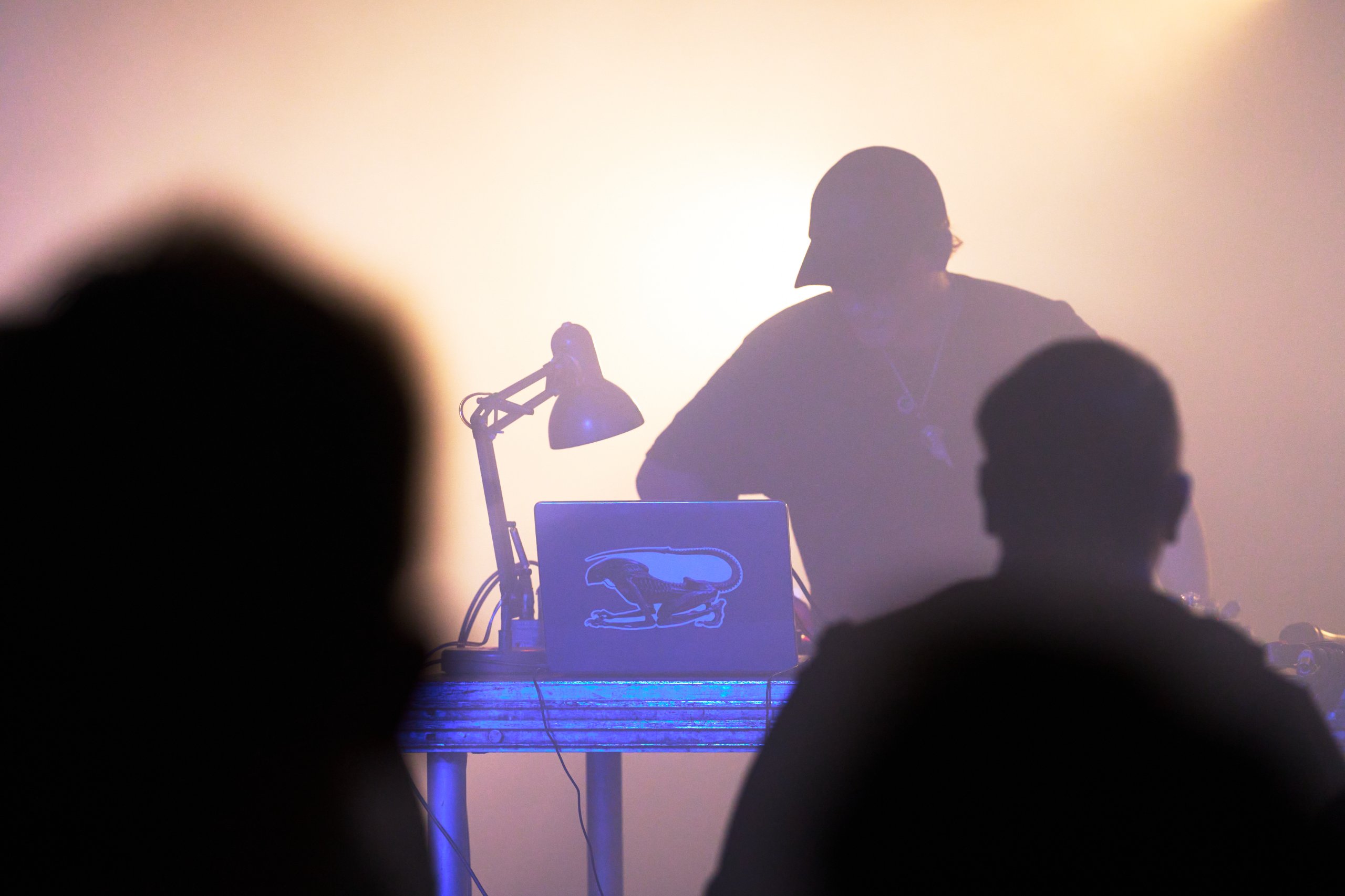 2025 05 24 Bunker Noise 0734